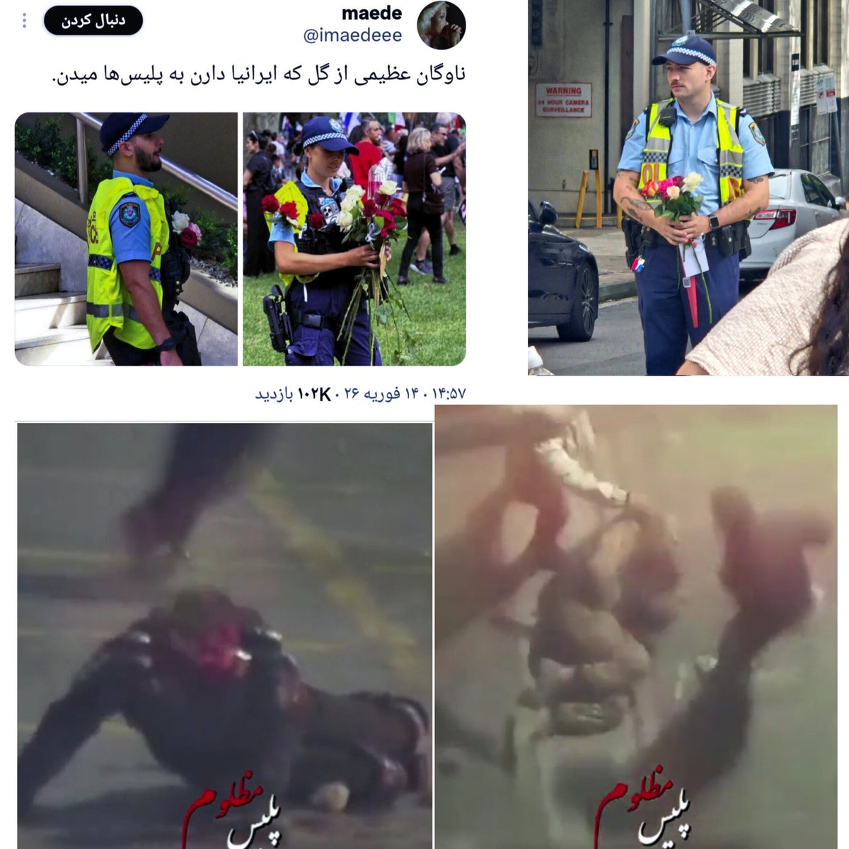 🎒خانوم هیمو tweet media