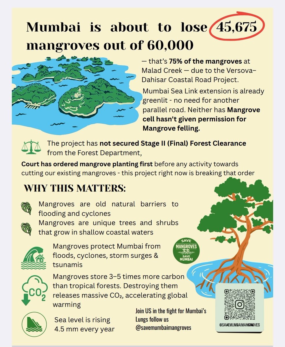 Before it's all destroyed for good, join and support the campaigns founded to protect Mumbai's natural heritage. We've run out of time!  Save Mumbai's Mangroves: instagram.com/reel/DUqskoODG…