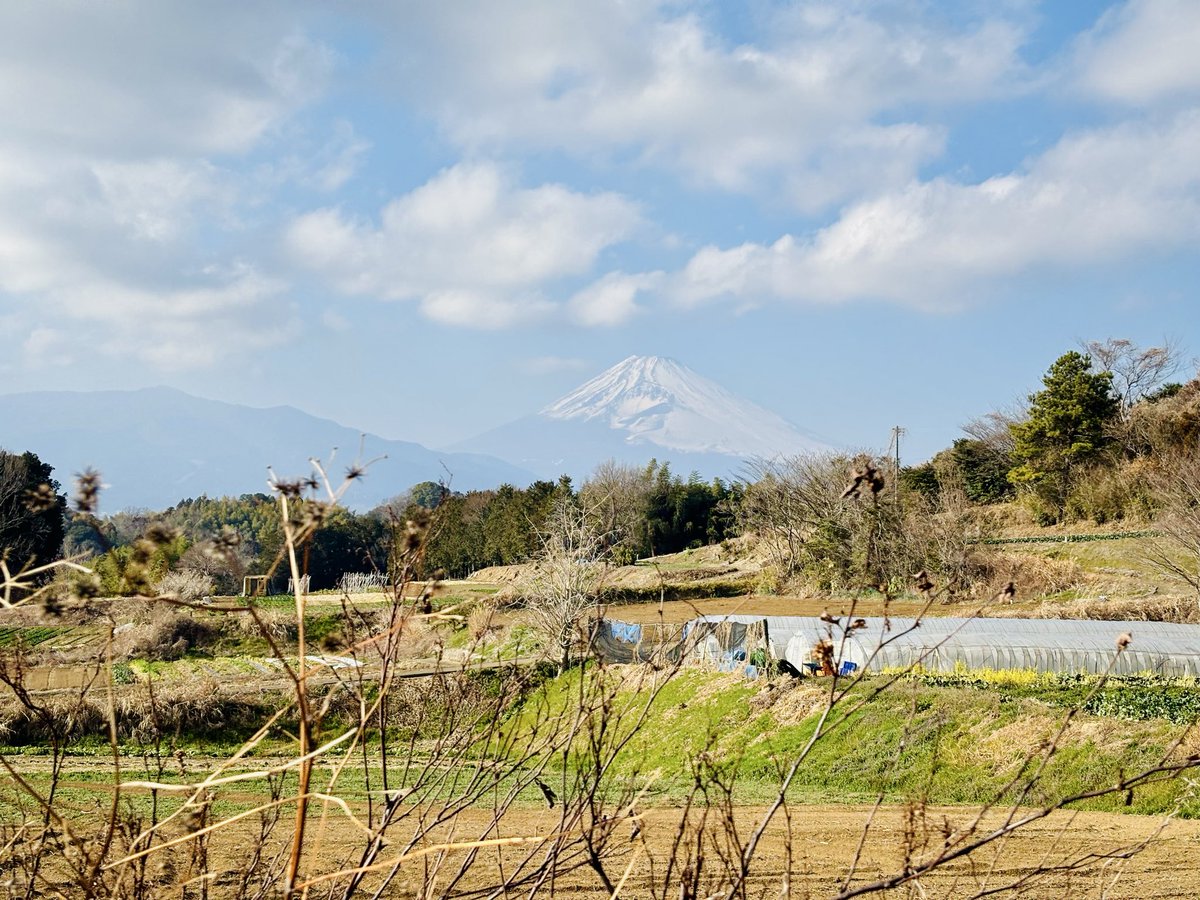 NicolasRieussec's tweet image. FJ！FJ！FJ！
日本人はFJよ🗻
#FJ