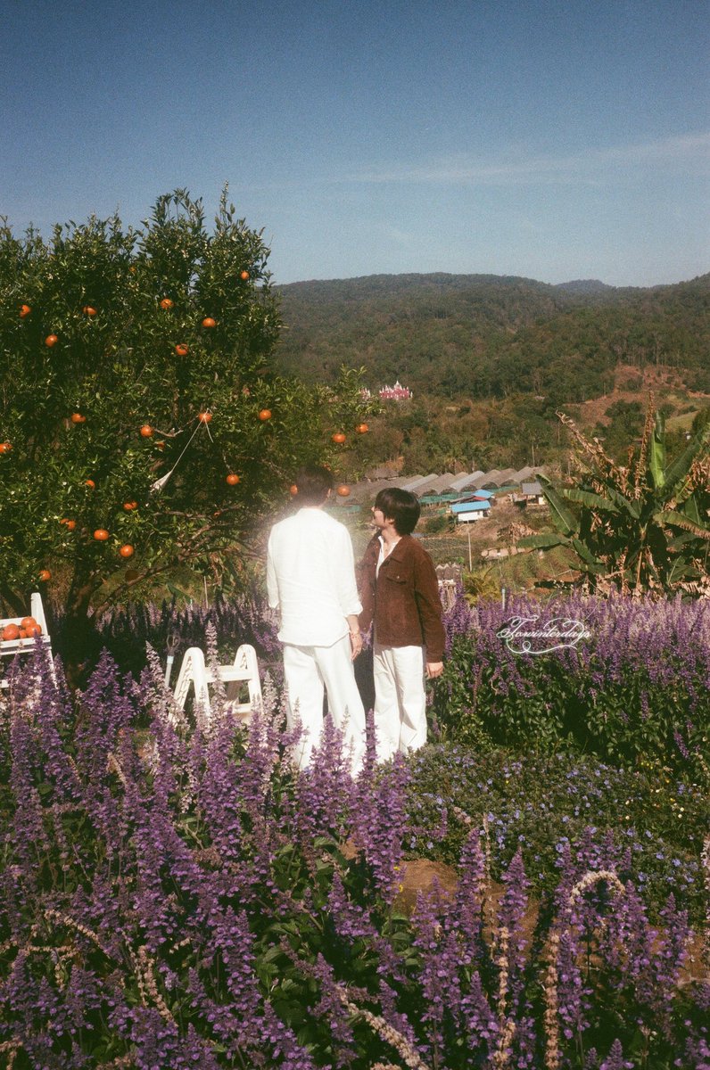 towinterdays's tweet image. เป็นฟิล์มม้วนที่ชอบที่สุดแล้ว💕

#KengNamping #เก่งน้ำปิง 
#TFSLostinlovexKNP