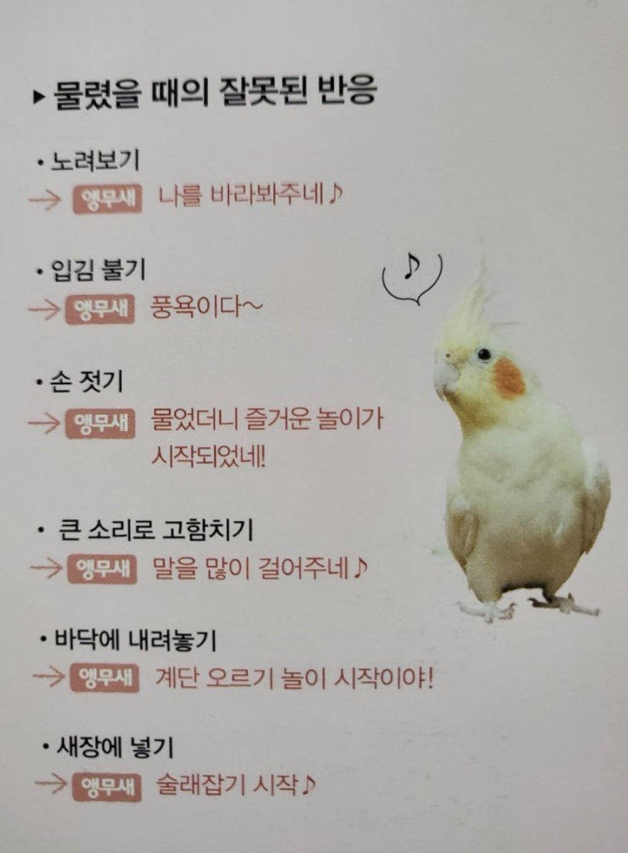 더럽게 긍정적이네