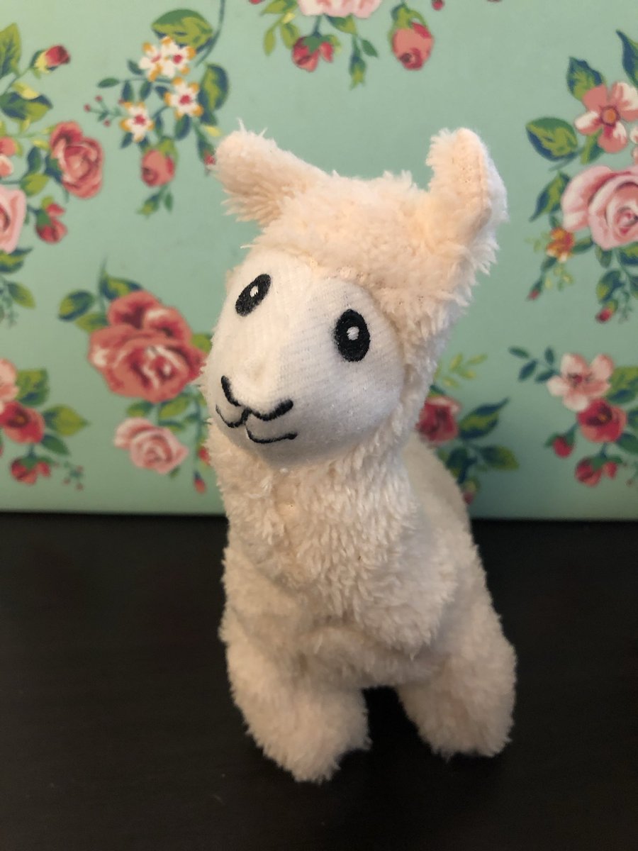 MoLuvsPackers's tweet photo. @RealOxfordComma Allow me to introduce you to Oxford Comma Llama, my constant office companion. 🥰 https://t.co/nqCUePNDwp
