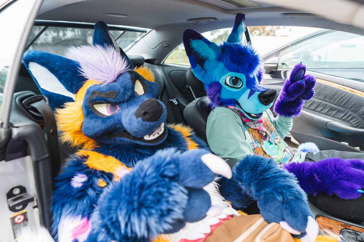 CiscoFoxy's tweet photo. Happy valentine's day to the best doggy ever!! 💜💜💜 love you @HorizonDoggo cant wait to experience more crazy stuff together~ 💜🐾🐾 https://t.co/uLXf3yuZOn