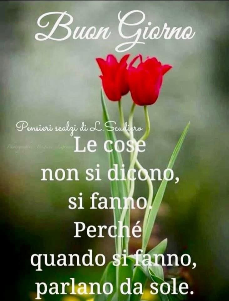 Buongiorno e buona domenica a tutti.