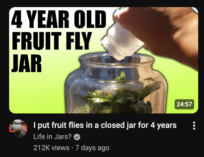 yeah sure