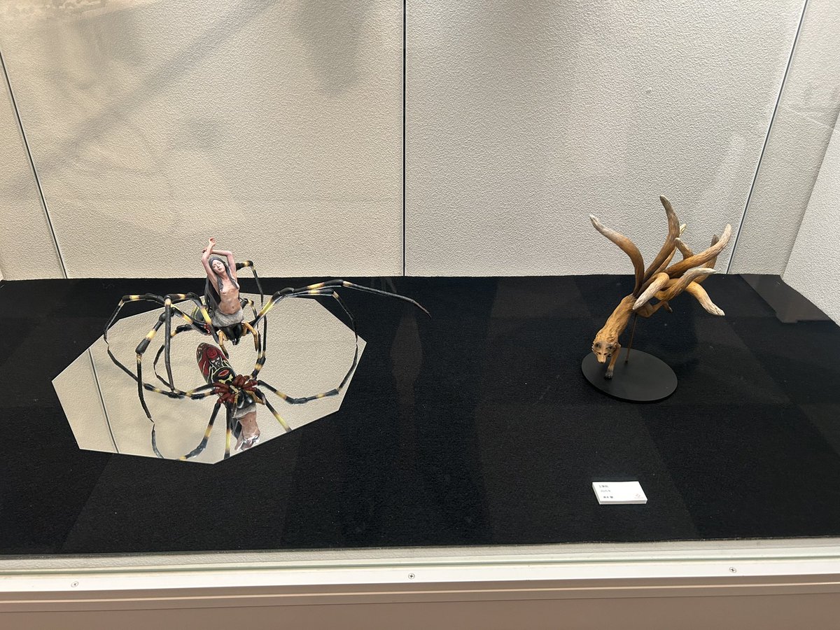 速水駿 tweet media