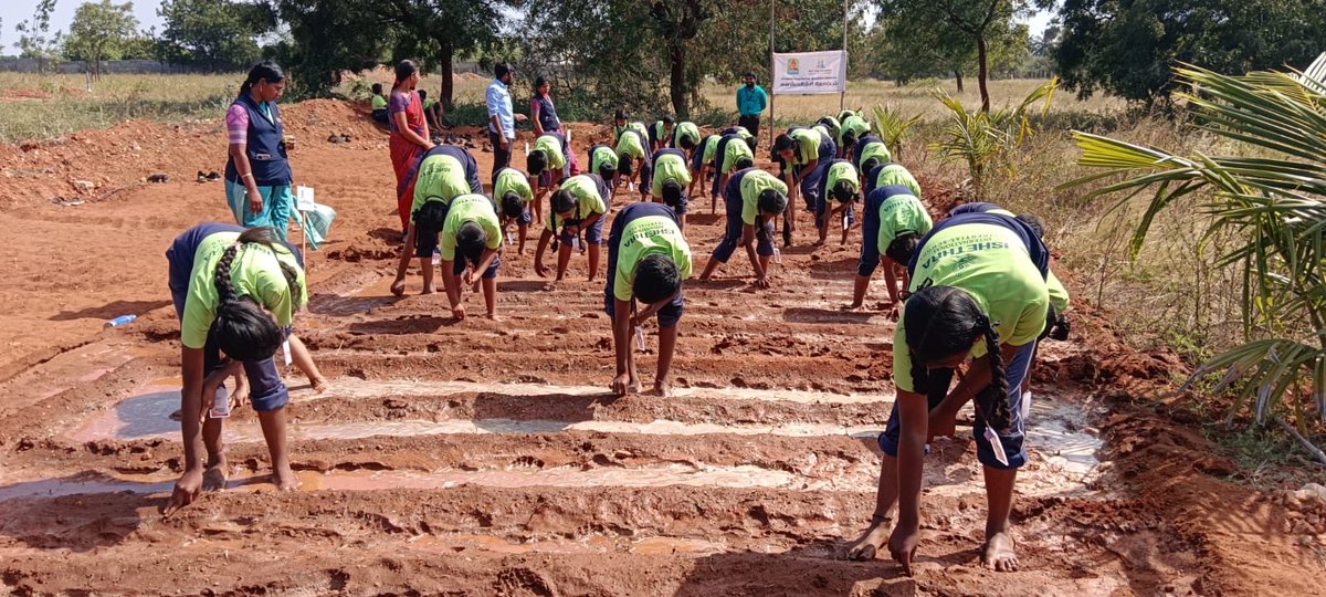 WTLFoundation's tweet photo. Today’s small hands in the soil can grow into tomorrow’s leaders who care for the Earth. 

#WeTheLeadersFoundation #OrganicFarming #NaturalLearning #SustainableFuture #Aravakurichi https://t.co/uOO2Wl4oZE