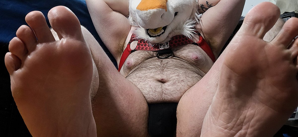 picasso of perversion 🔜 FURG, AC tweet media