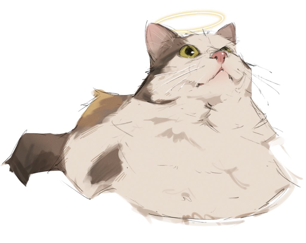 KARASU_2 tweet media