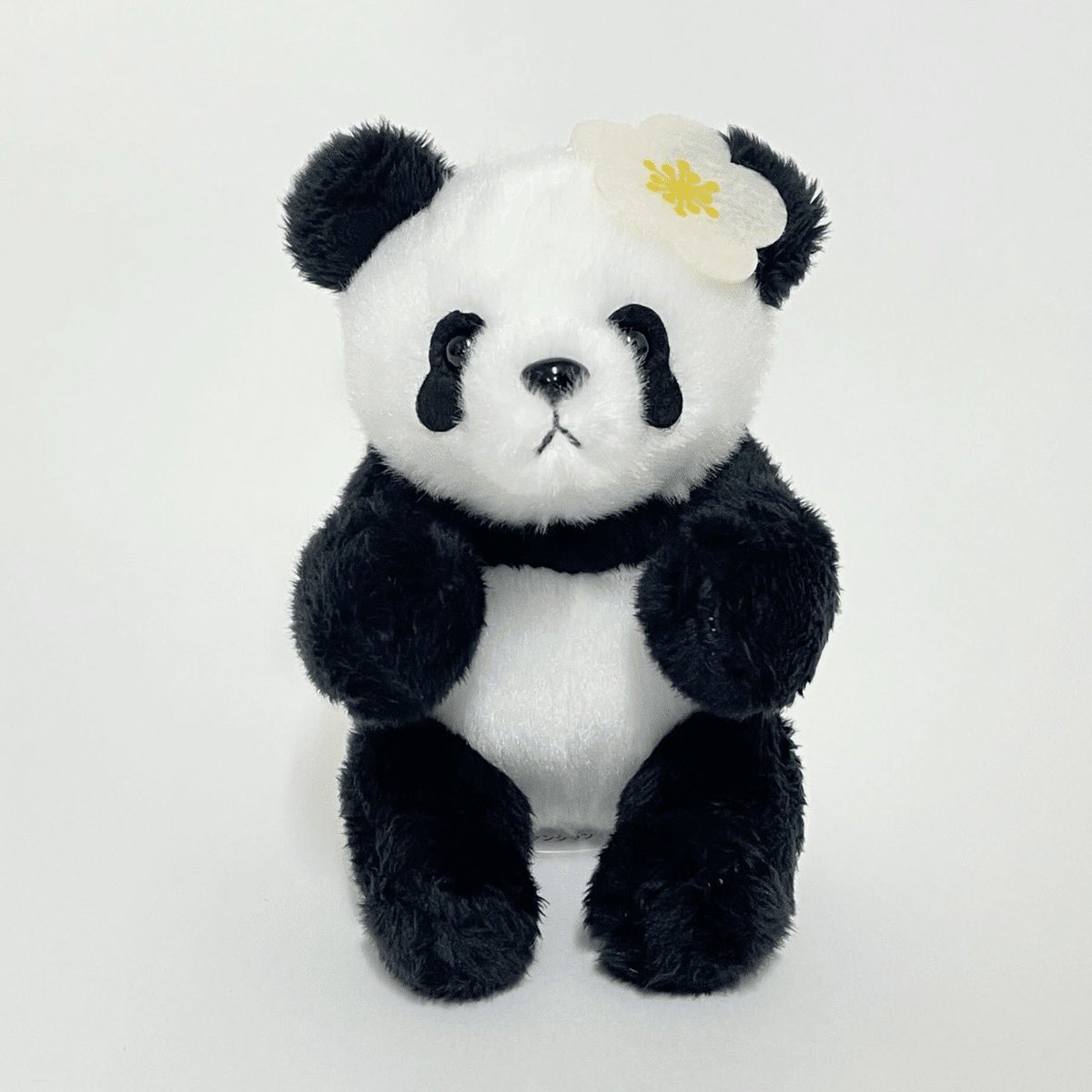 在庫情報】ご好評につき、文京梅まつりの #上野案内所 ブースで販売し