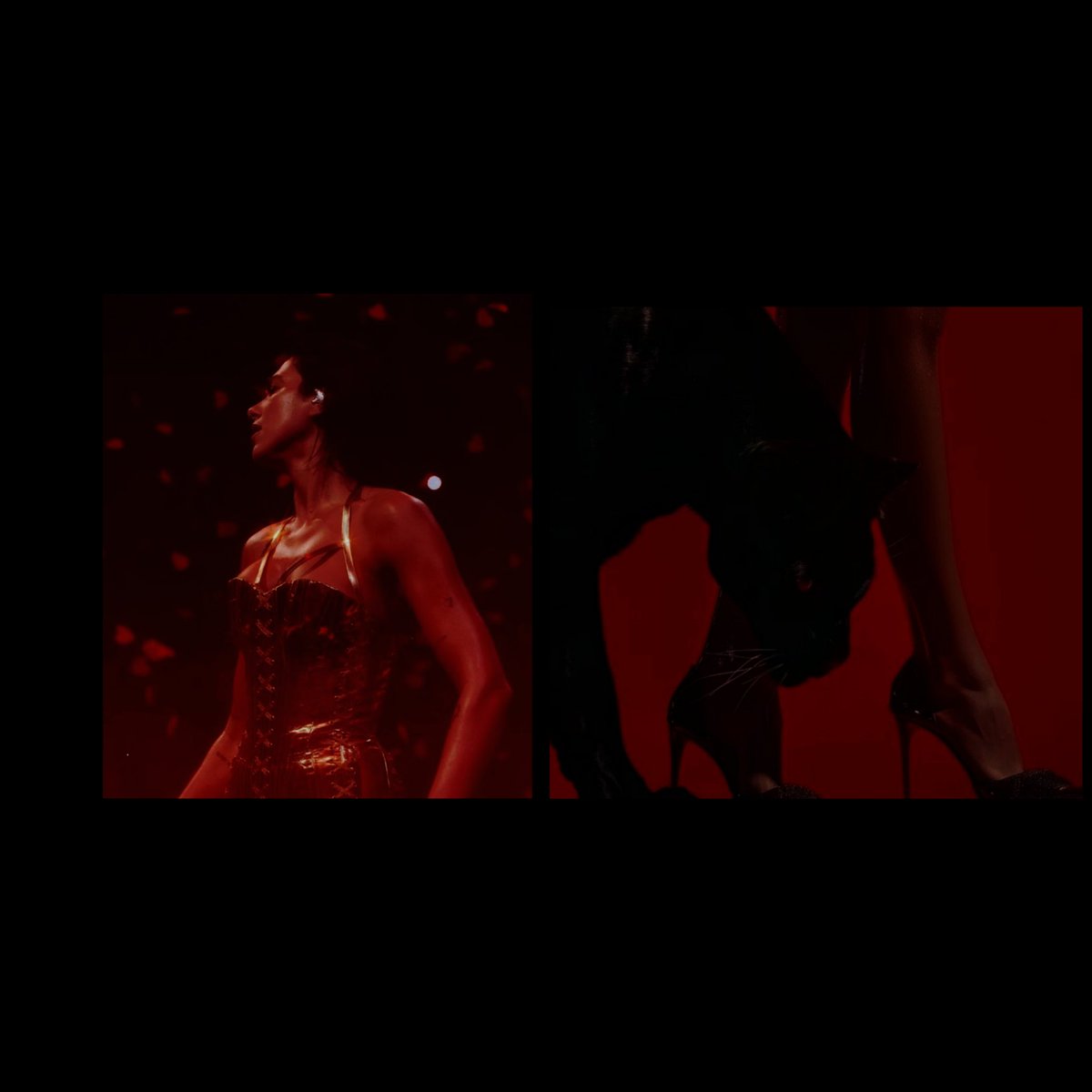 𝑺𝑬𝑹𝑨𝑵𝑨 tweet media