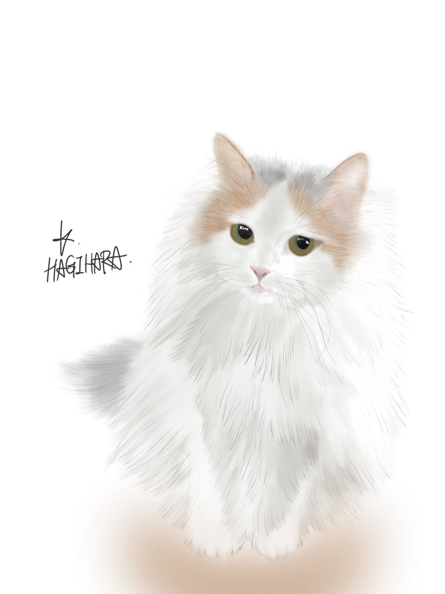 kinako_am's tweet photo. お世話になってる動物病院の先生に描いてもらいました！
もふもふ感が現れててすごい！
https://t.co/gsFSNlNHxQ https://t.co/gkj8dhUbyD