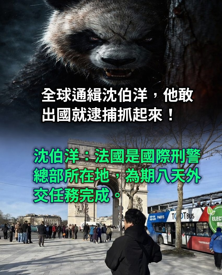 沈伯洋委員加油💪💪💪