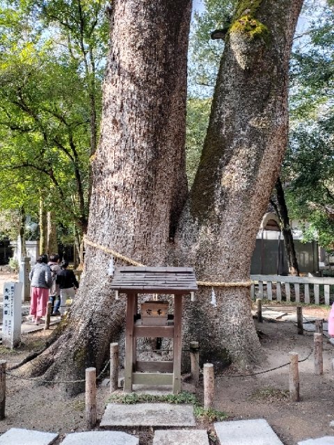 bigone3012's tweet photo. 建国記念日、伊弉諾神宮へ。
#建国記念日　#伊弉諾神宮　#淡路島 https://t.co/08yTs8hfiT
