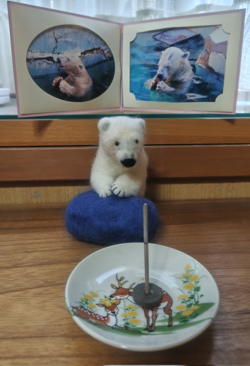 先週の今頃だったのかと思うと、また
涙が止まらなくなる
ゴーゴ
2026.2.15