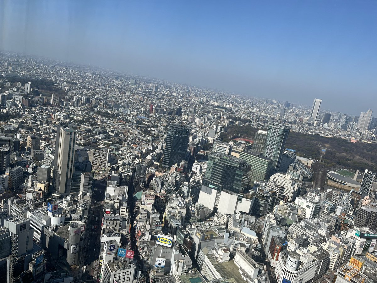 獅子山 Rio 🦁⛰♌ tweet media