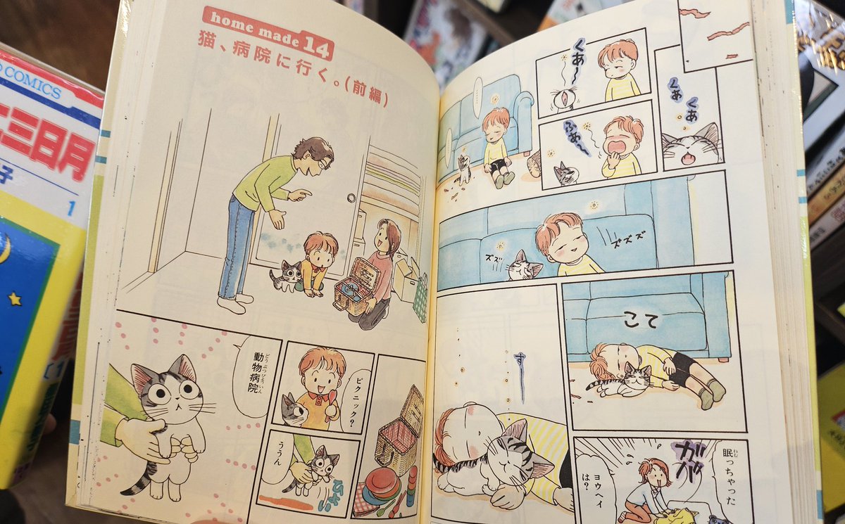 옌낙서장 tweet media