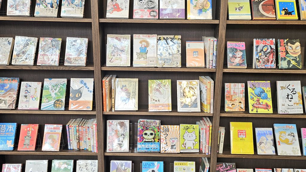 옌낙서장 tweet media