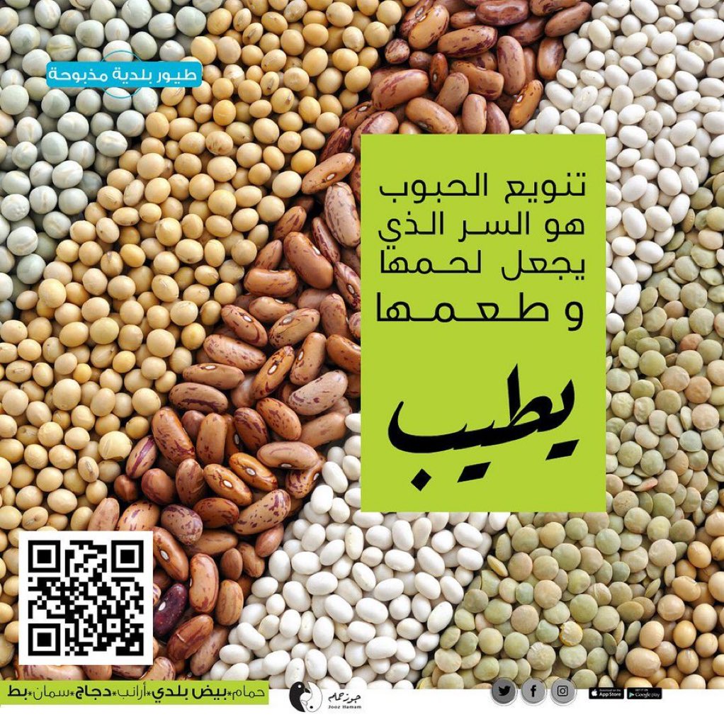 جوز حمام tweet media