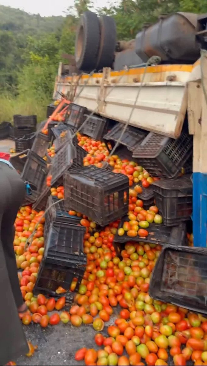 lnnocent191535's tweet photo. 🚨 A truck carrying tomatoes overturned in Entsubeni, Mpumalanga on Feb 14, 2026, leaving the road “red” on Valentine’s Day. The  driver escaped with minor injuries. Motorists, please drive with caution in the area. 

#MPTrafficAlert 
 #RoadSafety https://t.co/eLDV51NY6E