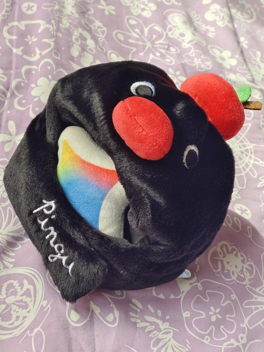 奶奶家小猫不戴，只能给狗狗戴了