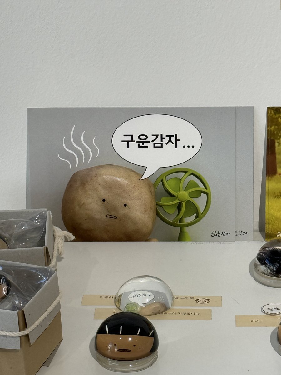 gomgomna's tweet photo. 강릉 여행 중 방문했던 소품샵 모음 타래 🫧 https://t.co/01Iz4WS1i4
