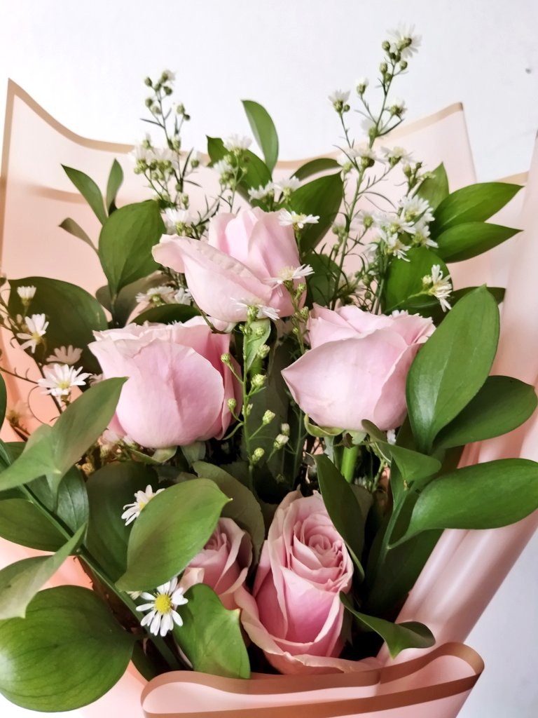 The Georgia Peach 🍑 tweet media