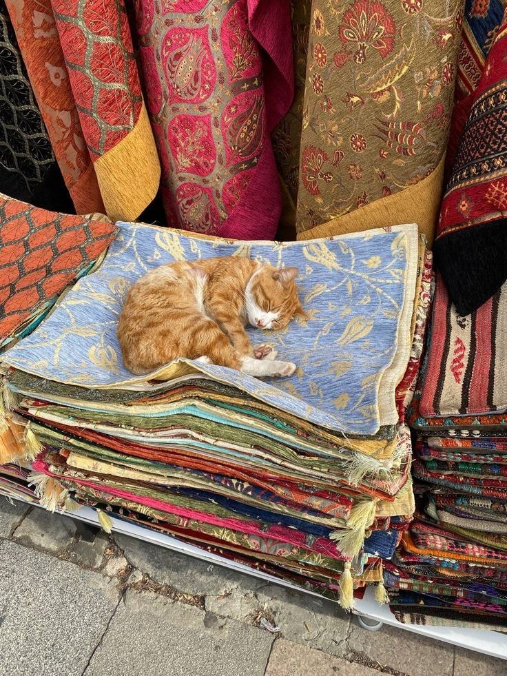 ᅠ ᅠ (@solukayna) on Twitter photo 