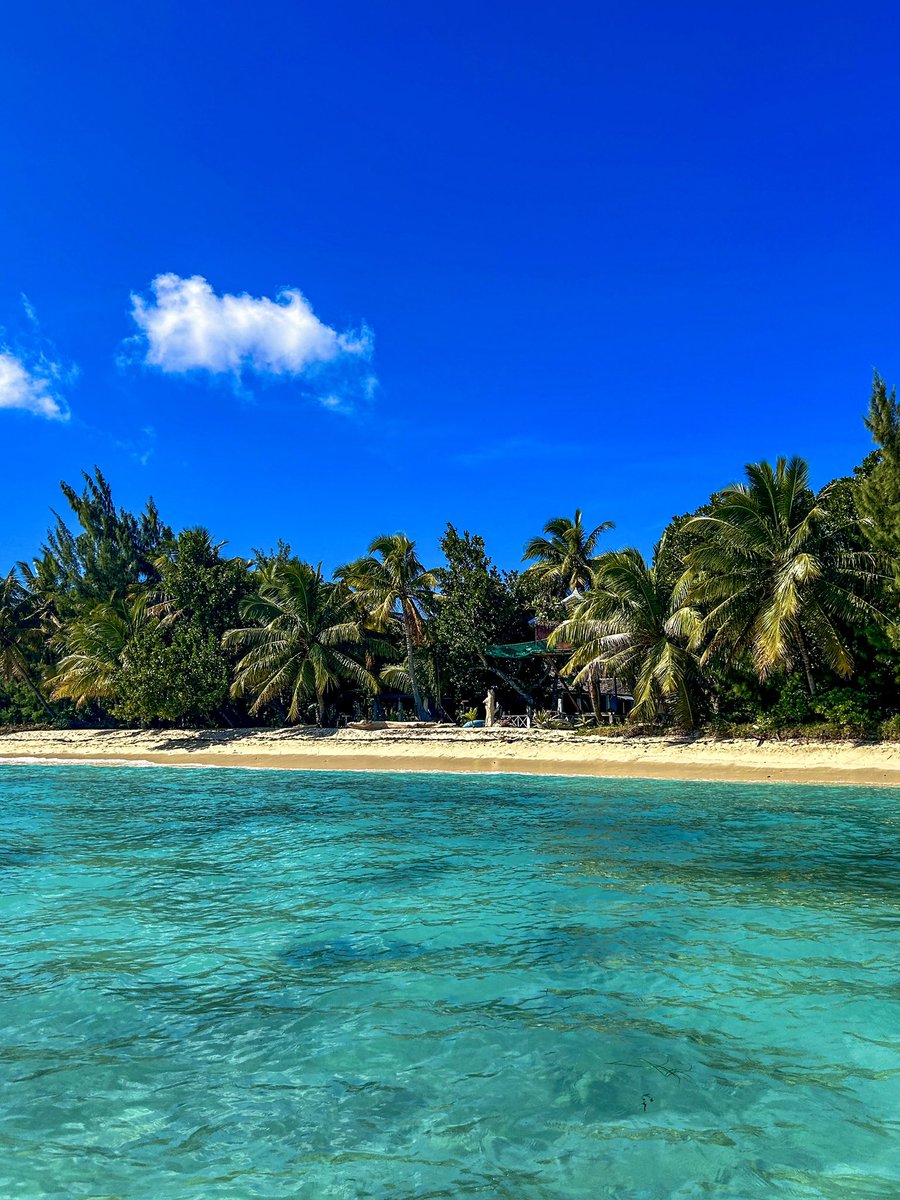 Globe Tucker tweet media