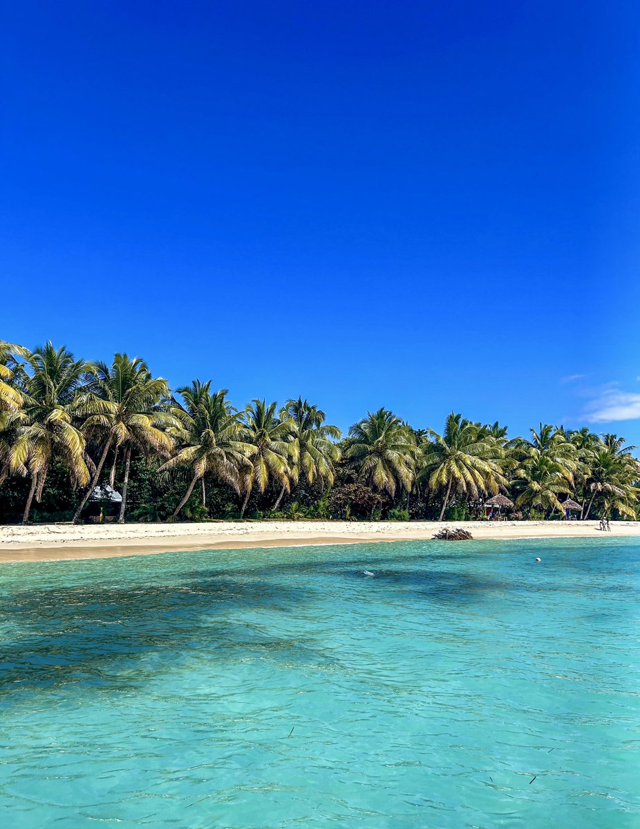 Globe Tucker tweet media