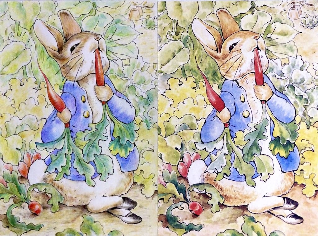 色鉛筆イラスト #絵描きさんと繋がりたい ピーターラビットの塗り絵 左