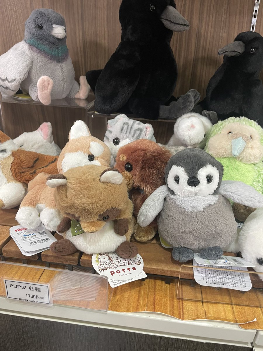 え…………………ま、また…？？？