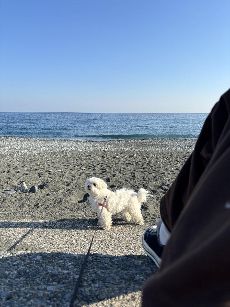 もじゅ tweet media