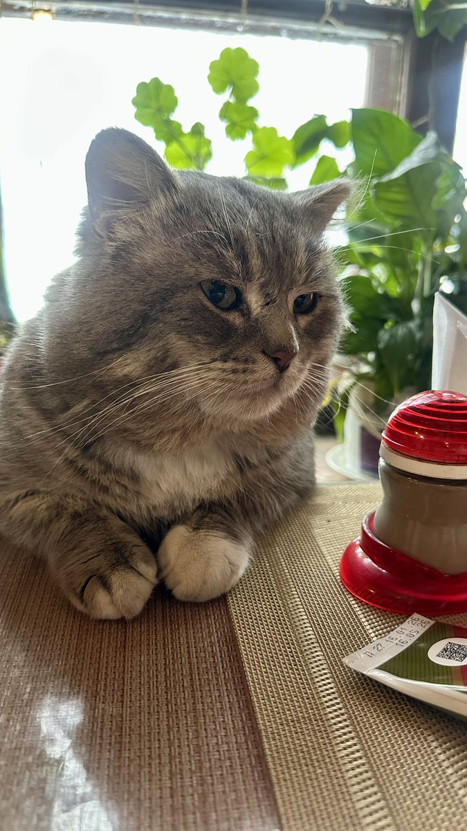 Рязанский горлопан tweet media