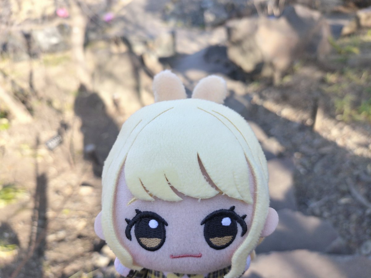 可愛い子とお出かけ、たのしい
 #初星学園ぬいぬい部