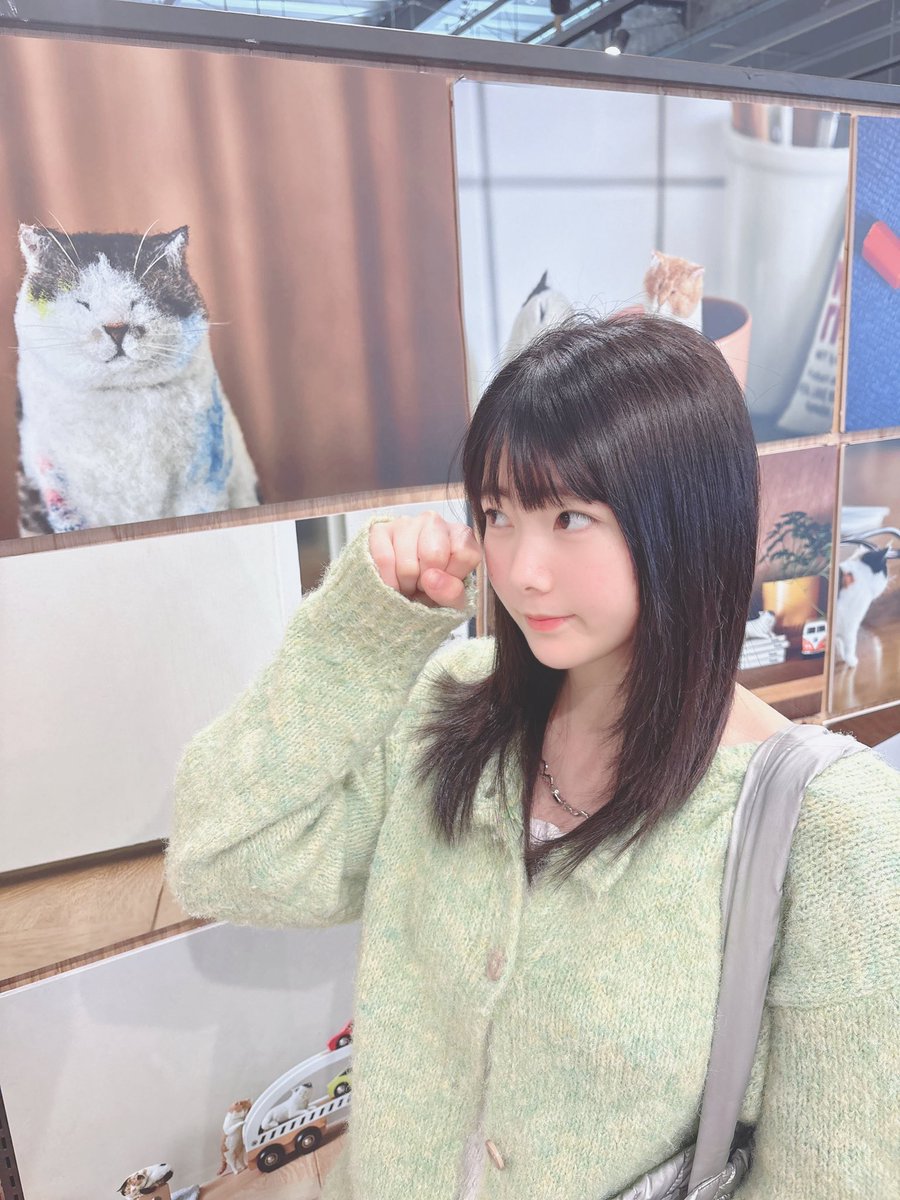 猫好きーー！(=^x^=)