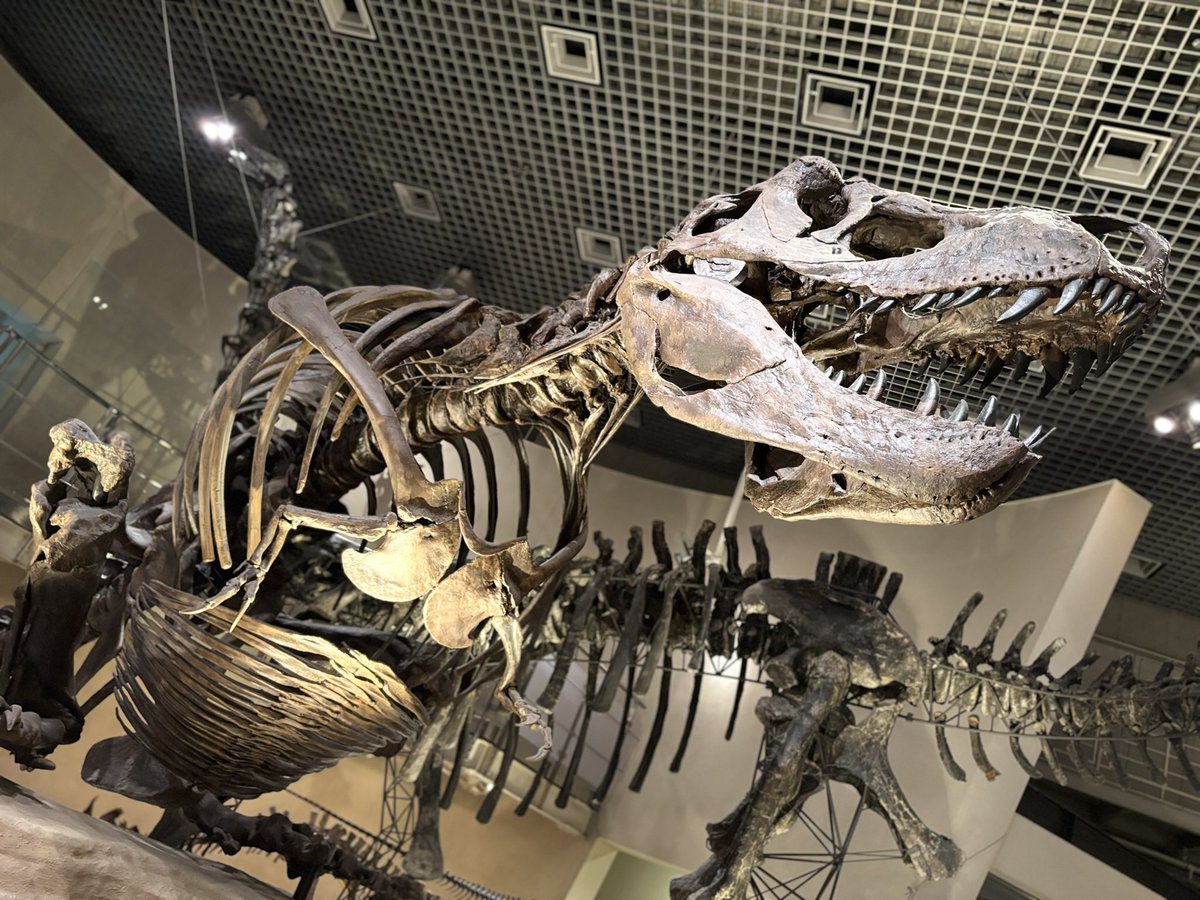 国立科学博物館に行った方々に言いたいここで展示してる