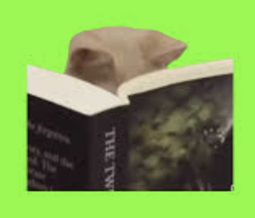 If you're reading a book about "living in the moment," aren't you technically ignoring the moment to read about it?