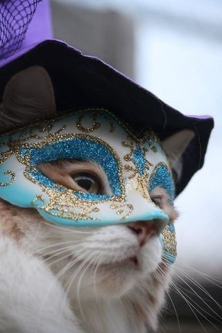 Siate l’insolito in un mondo fatto di noia
##15febbraio 
#BuongiornoATutti 🤡🎈