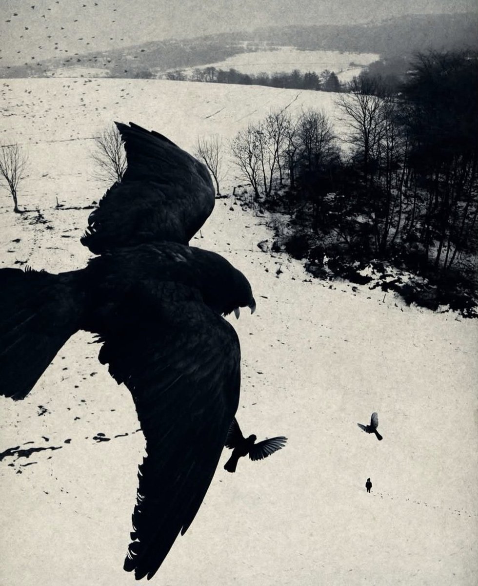 winter journey 
even dreams
grow quiet 

Basho 

winter of winters
your winter
lost 

me