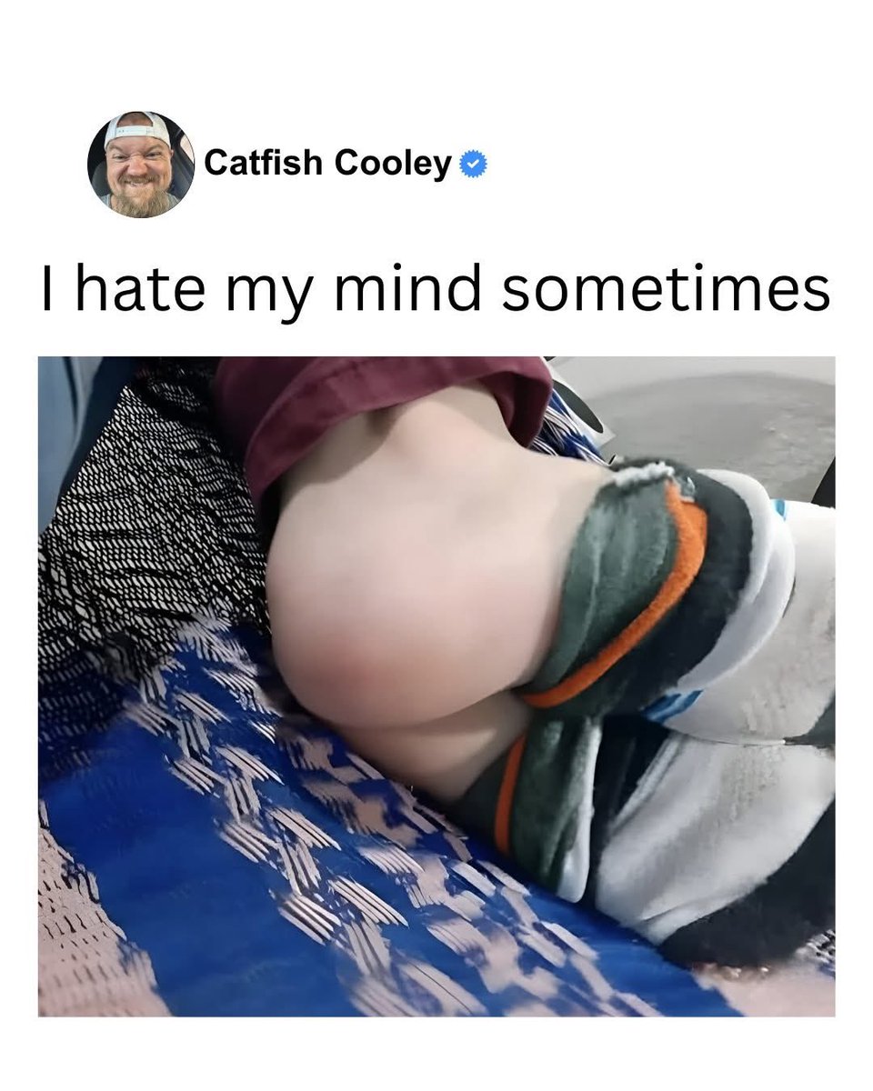 linactual's tweet photo. https://t.co/ZQUZXBxvzh