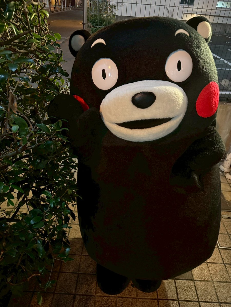 よか明日になりますように、おやくま〜☆