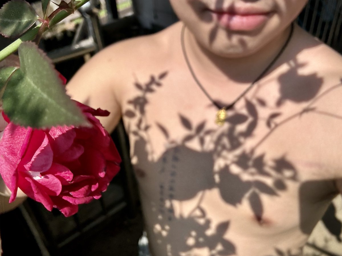 唐烟℡ tweet media