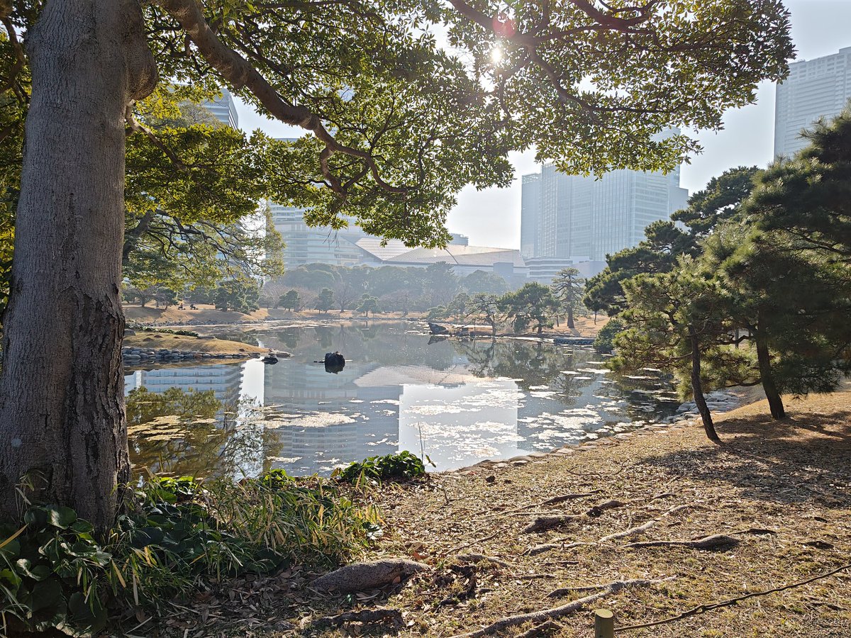 都心にいながら緑を満喫 どこかの庭園でも見た橋を渡ったり 今と昔が