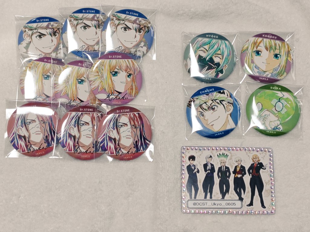 交換 譲渡】Dr.STONE ドクスト AMNIBUS Ani-Art 缶バッジ アニアート