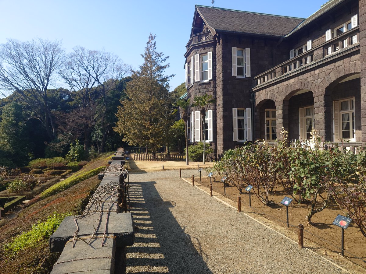 kyufurukawa's tweet photo. 【#旧古河庭園 午後休園のお知らせ】 明日2/16(月)は #庭園 維持管理作業のため、最終入園11時30分･閉園12時とさせていただきます。＜#洋館 は終日休館＞ 
春バラに向けて剪定作業が進み、現在 #バラ園 のつる バラはこんなにスッキリしていますが、4月～5月にはまた可憐な花を沢山咲かせます🌹#バラ https://t.co/9U2MmSr8rF
