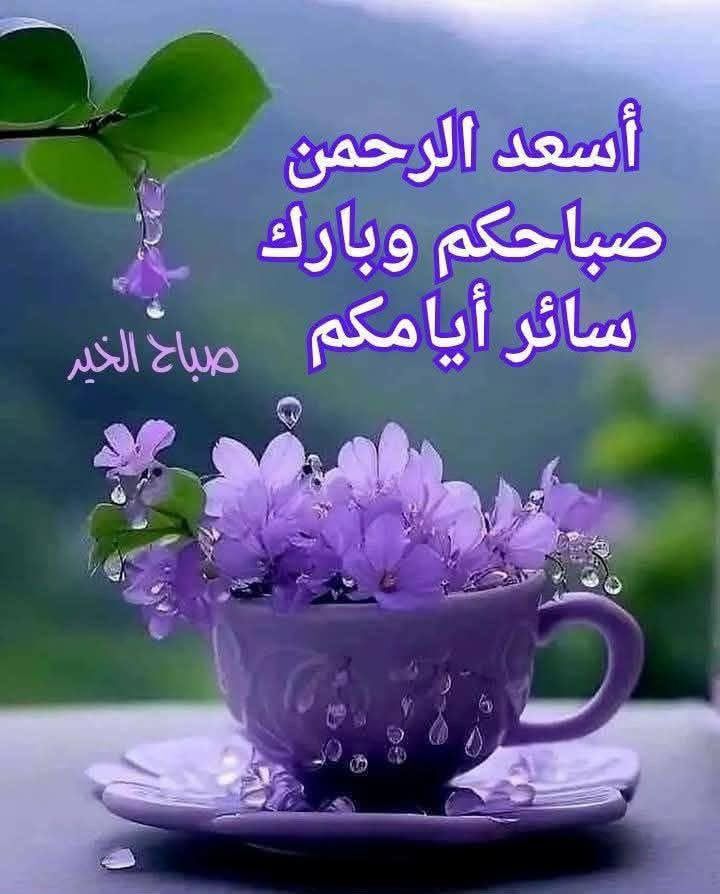 صباح الخير