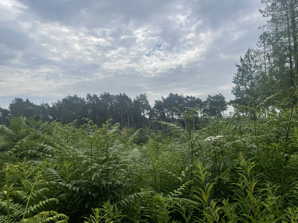 BBC Stoke & Staffordshire tweet media