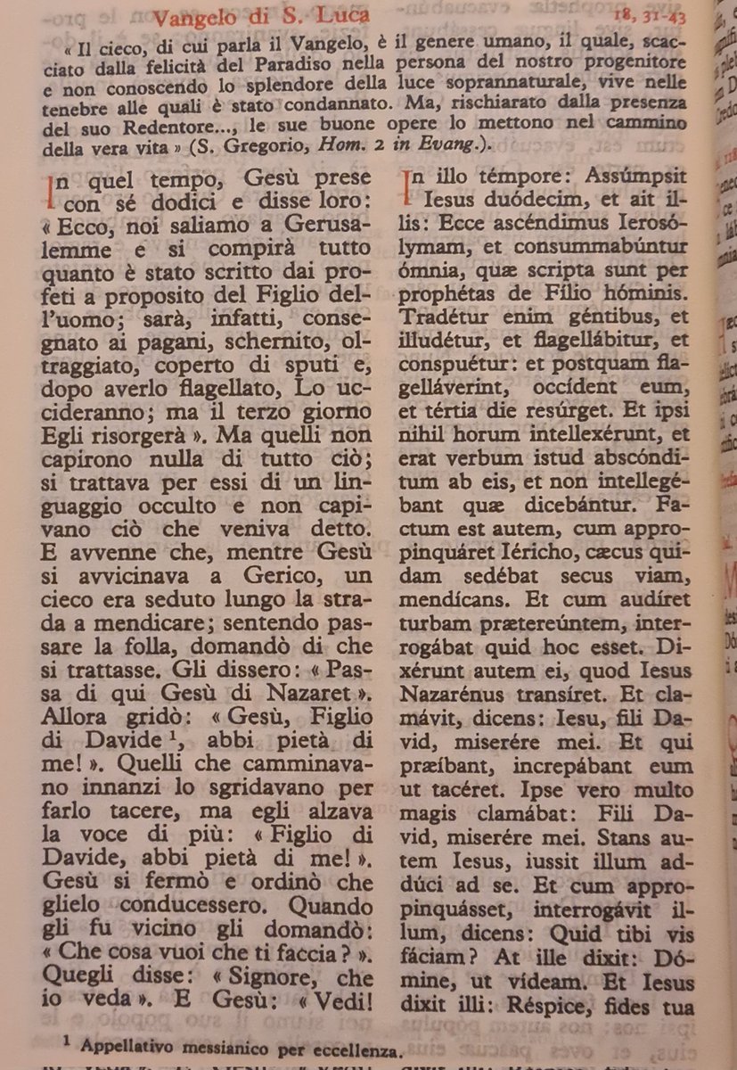 Tarchezio's tweet photo. #VangelodiOggi
#RitoAntico
#MessaApostolica
#VetusOrdo
#15febbraio 2026
Dominica in Quinquagesima
Sequèntia sancti Evangėlii secùndum #Lucam 🙏 https://t.co/GPjjxigp2B
