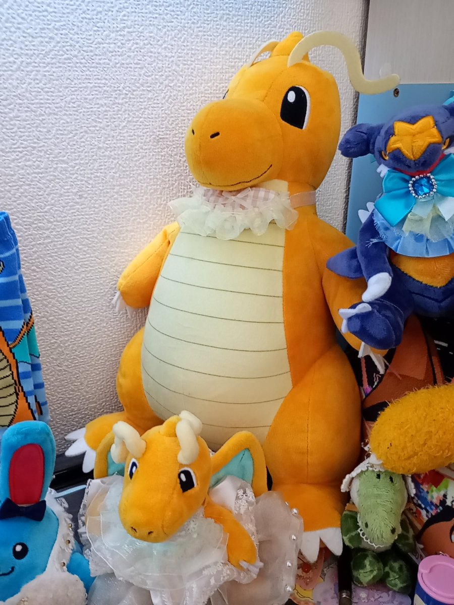 普段机の3分の1くらいを占領しているこのカイリューちゃんをメガ